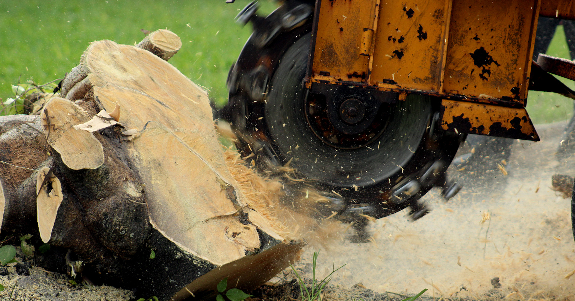 Eddy’s Tree Service Home Eddy's Tree Services & Landscaping