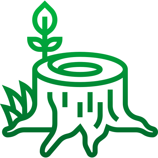 Eddy’s Tree Service - Home Eddy's Tree Services & Landscaping